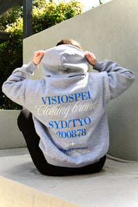 VISIOSPEI CLBR HOODIE GREY
