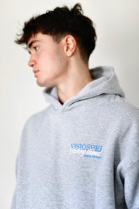 VISIOSPEI CLBR HOODIE GREY